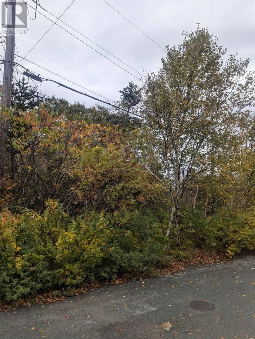 6-10 Parsons Place — photo 3 of 5