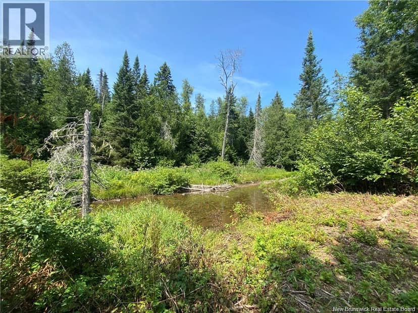 Land Archibald Road, Belledune, photo 4