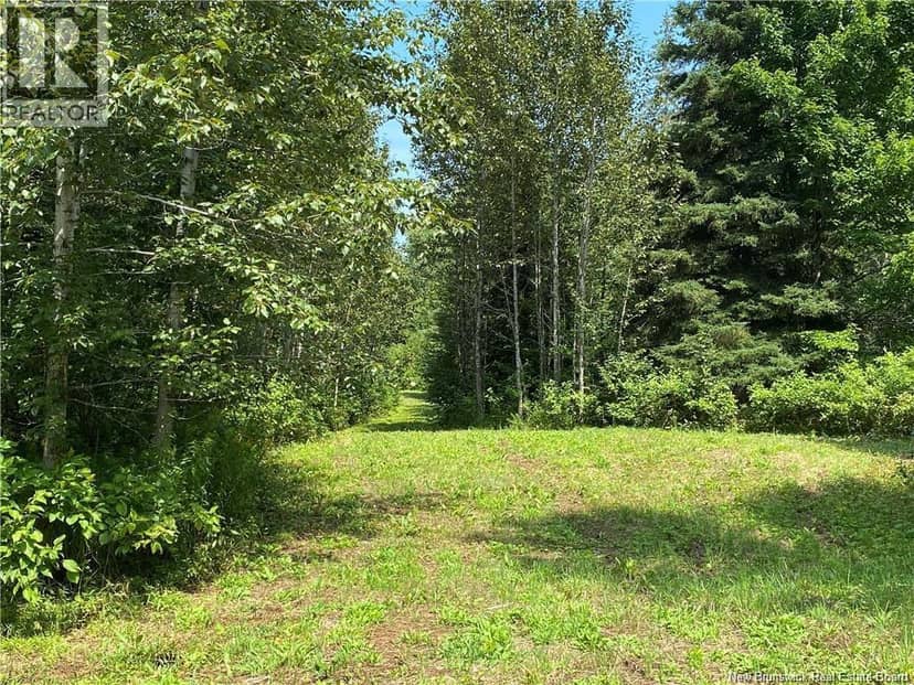 Land Archibald Road, Belledune, photo 5