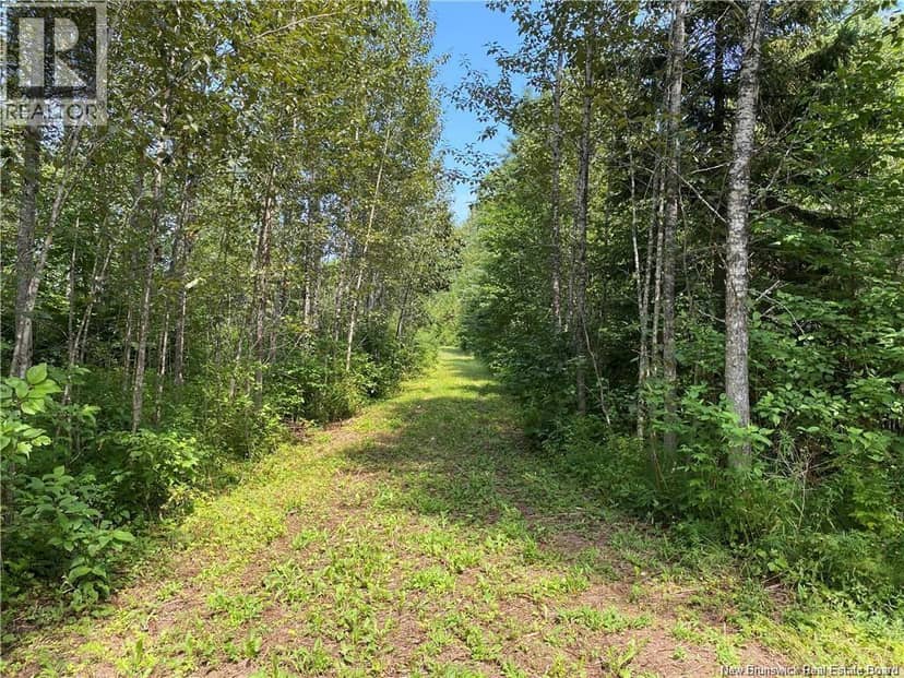 Land Archibald Road, Belledune, photo 6