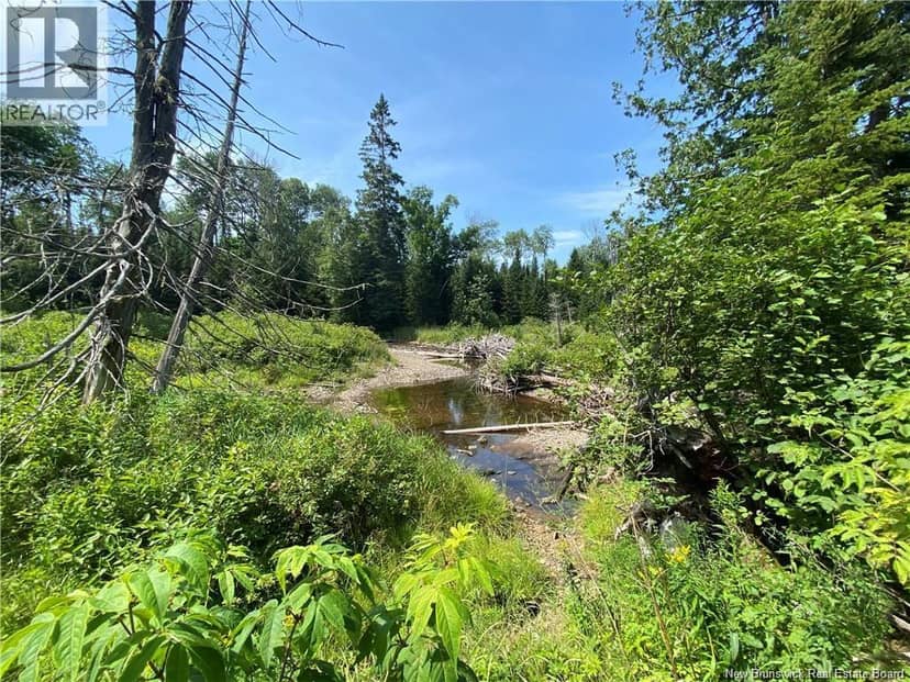 Land Archibald Road, Belledune, photo 7