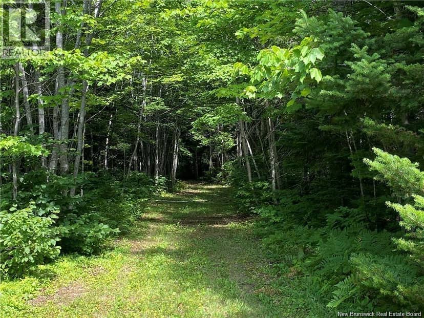 Land Archibald Road, Belledune, photo 8