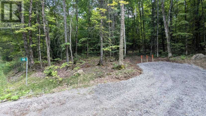 66 McCauley Road, Seguin, photo 4