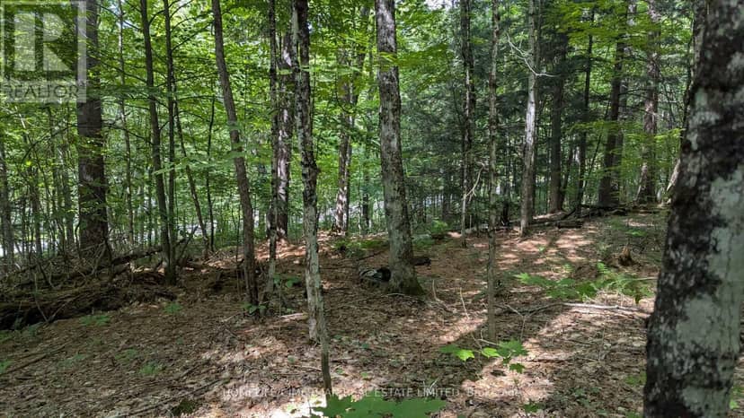 66 McCauley Road — photo 9 of 26
