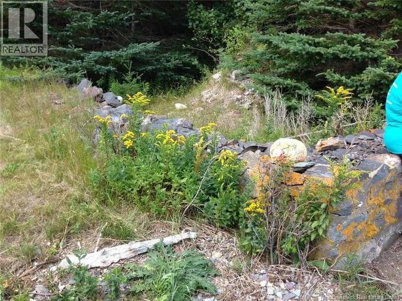 39 Indian Island — photo 3 of 8
