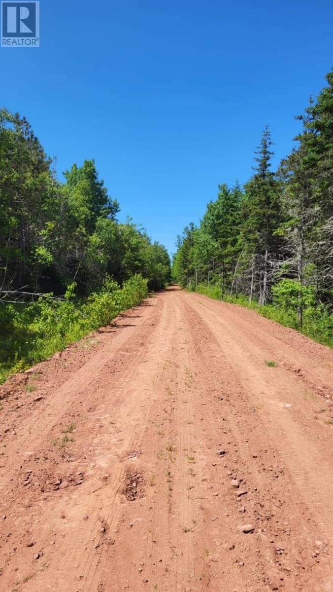 10 Swallow Point Road — photo 8 of 28
