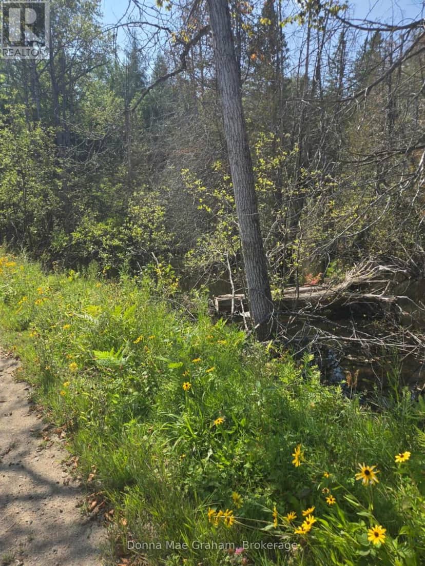 0 Macduff Road Acres E, Highlands East, photo 3