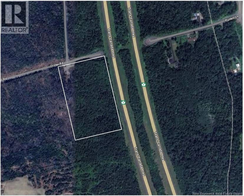 Lot Critter Road — photo 1 of 20