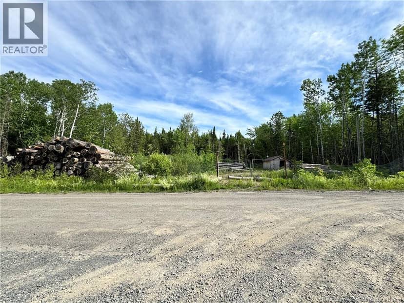 Lot Critter Road — photo 3 of 20