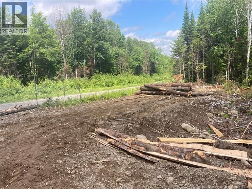 Lot Critter Road — photo 10 of 20
