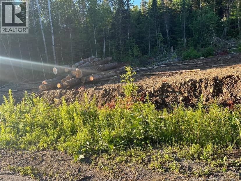 Lot Critter Road — photo 11 of 20
