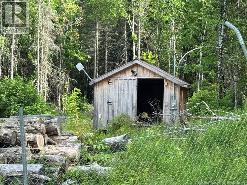 Lot Critter Road — photo 16 of 20