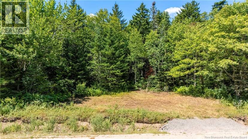 Woodlot Route 935 — photo 1 of 17