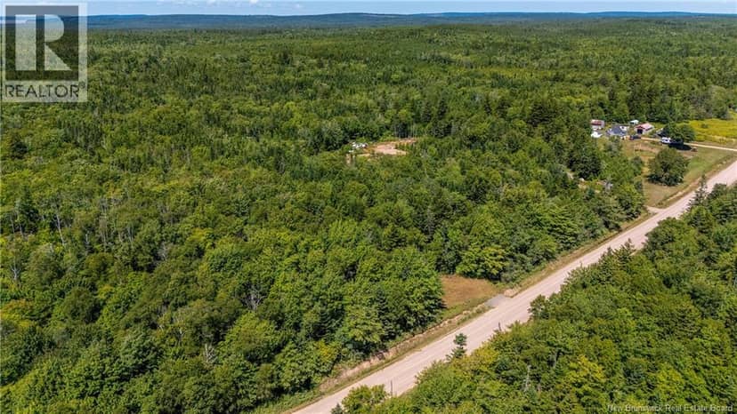 Woodlot Route 935 — photo 10 of 17