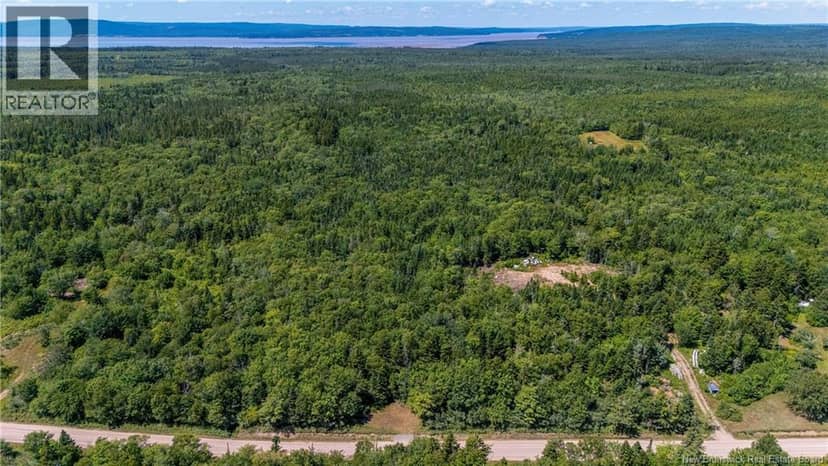 Woodlot Route 935 — photo 13 of 17