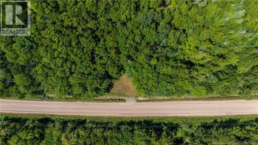 Woodlot Route 935 — photo 14 of 17