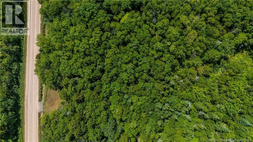 Woodlot Route 935 — photo 15 of 17