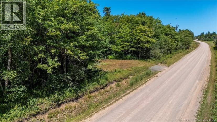 Woodlot Route 935 — photo 4 of 17