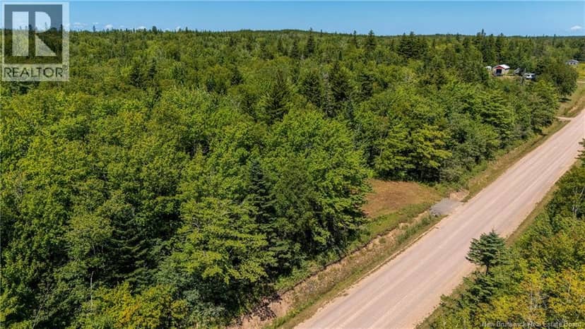 Woodlot Route 935 — photo 5 of 17