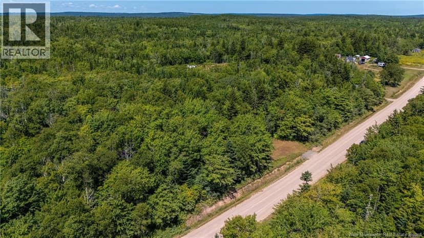 Woodlot Route 935 — photo 6 of 17
