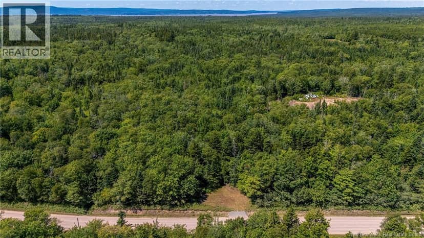 Woodlot Route 935 — photo 7 of 17
