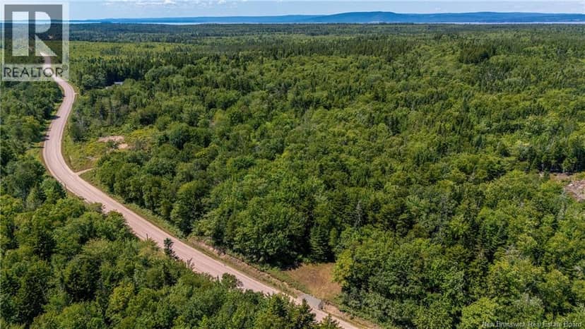 Woodlot Route 935 — photo 8 of 17