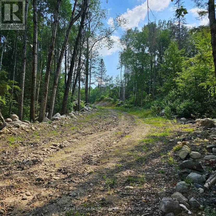 1251 Snake Creek Road, Mattawan, photo 8