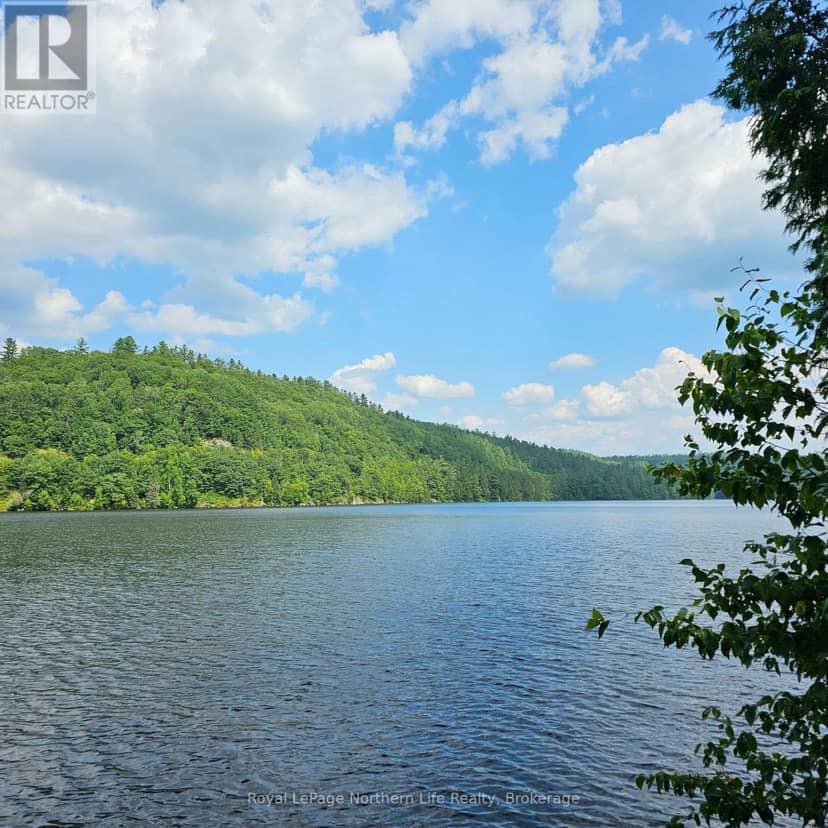 1251 Snake Creek Road, Mattawan, photo 6