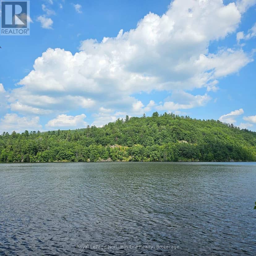 1251 Snake Creek Road, Mattawan, photo 5
