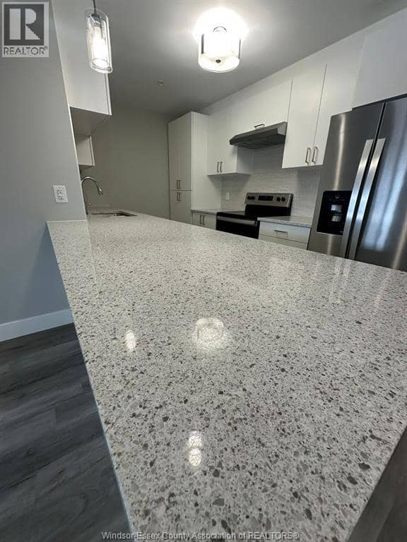 2550 SANDWICH WEST PARKWAY Unit# 203 — photo 7 of 17