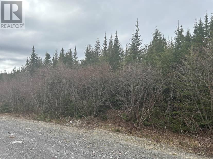 Lot # 03 Quarry Road, Burgoynes Cove, photo 2