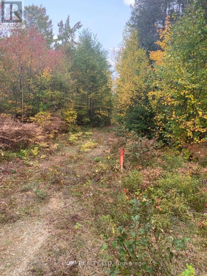 L1C1 54R-6371 Catharine Road, Englehart, photo 7