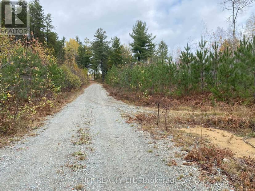 Lot 1 Con 5 Marter 54R-6396 Road — photo 1 of 2