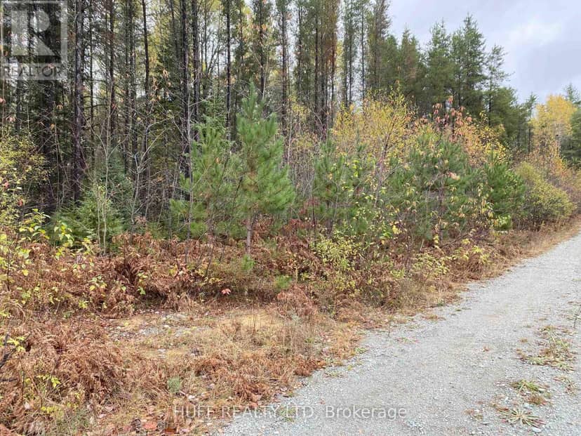 Lot 1 Con 5 Marter 54R-6396 Road — photo 2 of 2