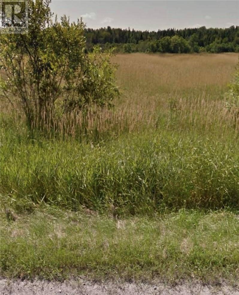 612 Old Hwy 17, Verner, photo 7