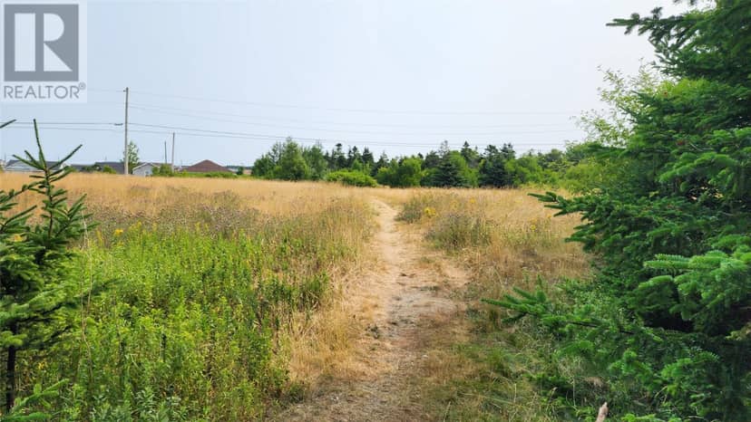 Lot 4 Cook's Lane, St. John's, photo 2