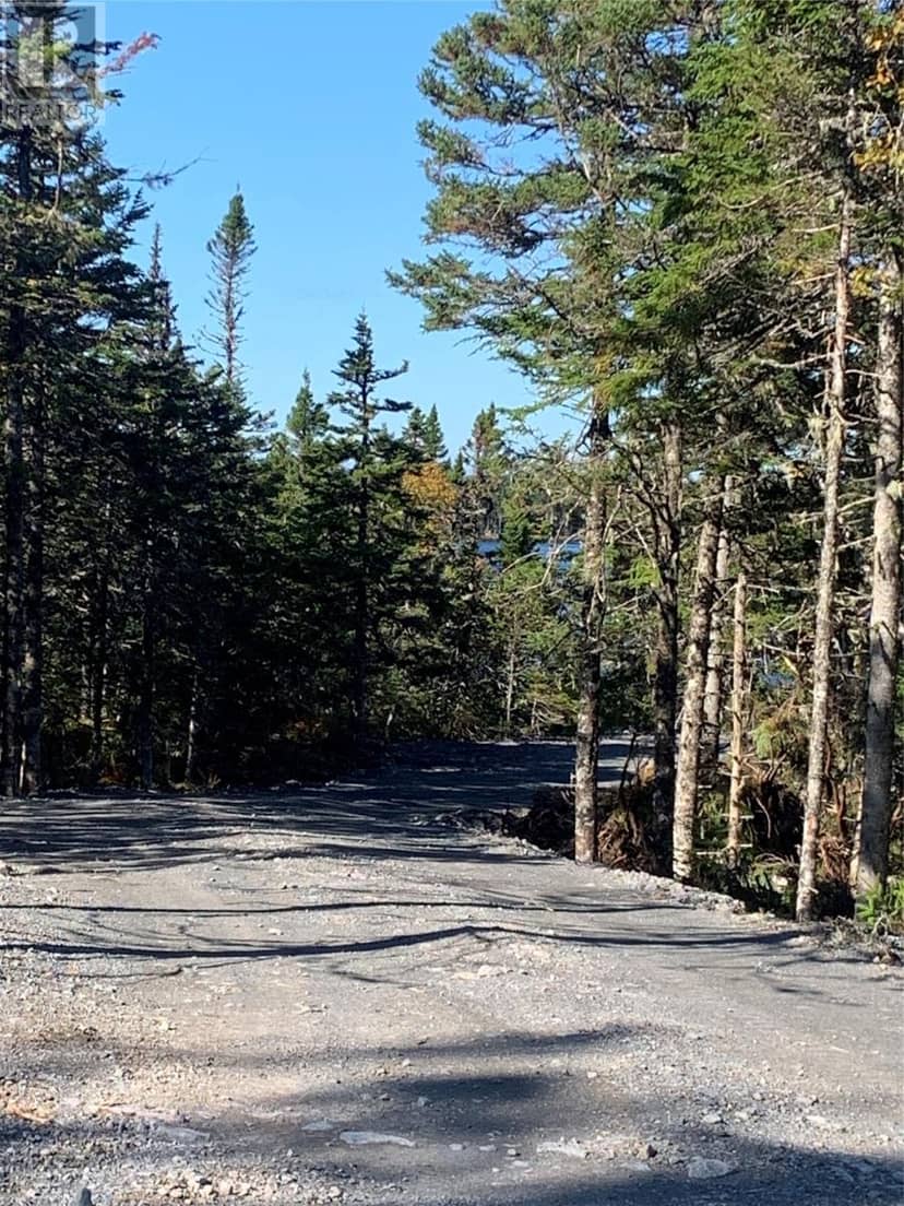 Lot 14 Halleran Trail, Brigus Junction, photo 2