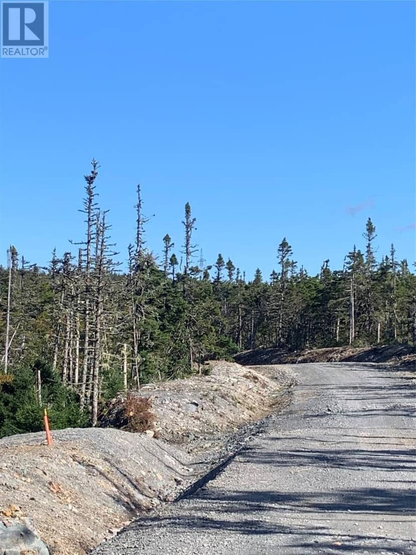 Lot 14 Halleran Trail, Brigus Junction, photo 3