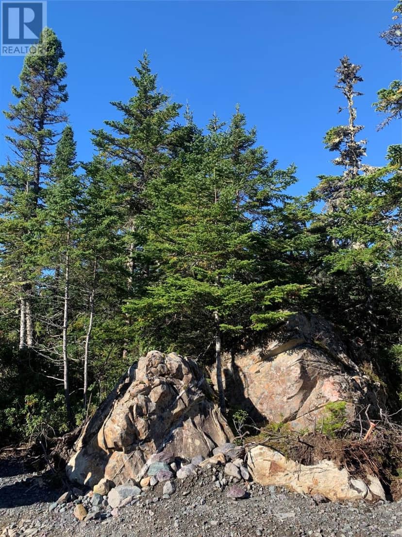 Lot 14 Halleran Trail, Brigus Junction, photo 4