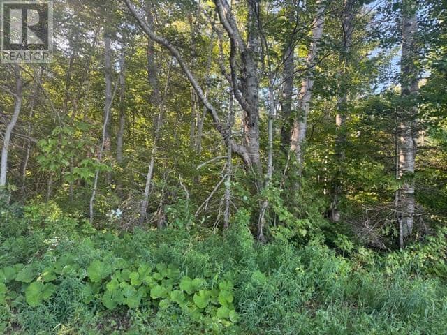 2832 Rte 14 — photo 1 of 3