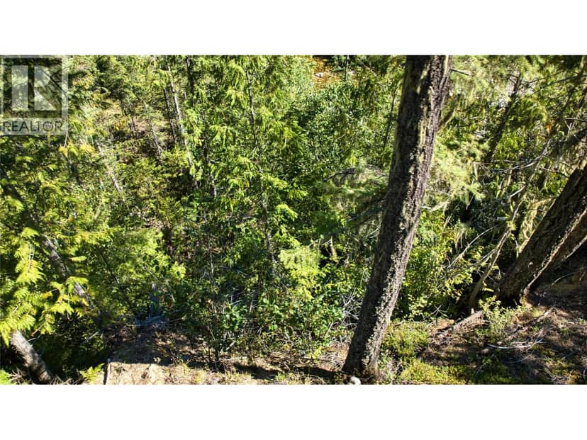 16300 Wadds Road, Crawford Bay, photo 8