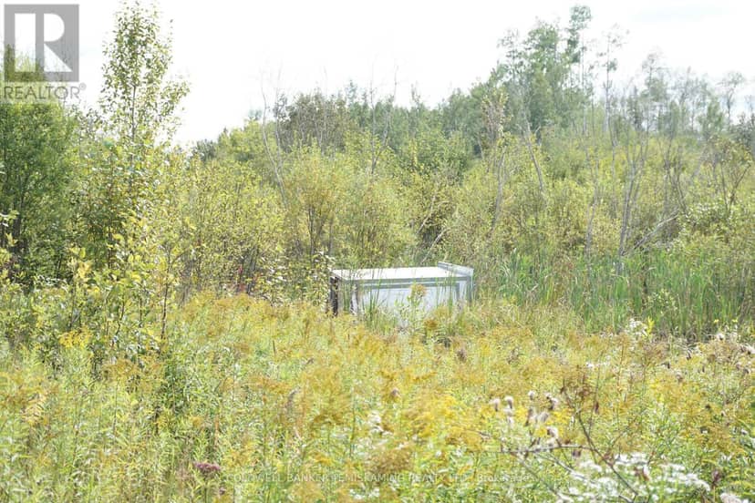 Lot 1 Campbell's Road — photo 24 of 40