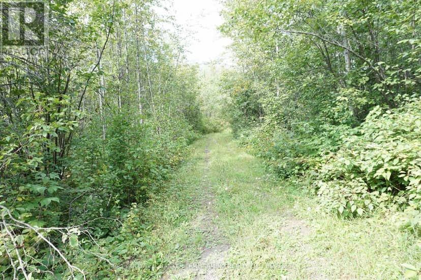Lot 1 Campbell's Road — photo 28 of 40