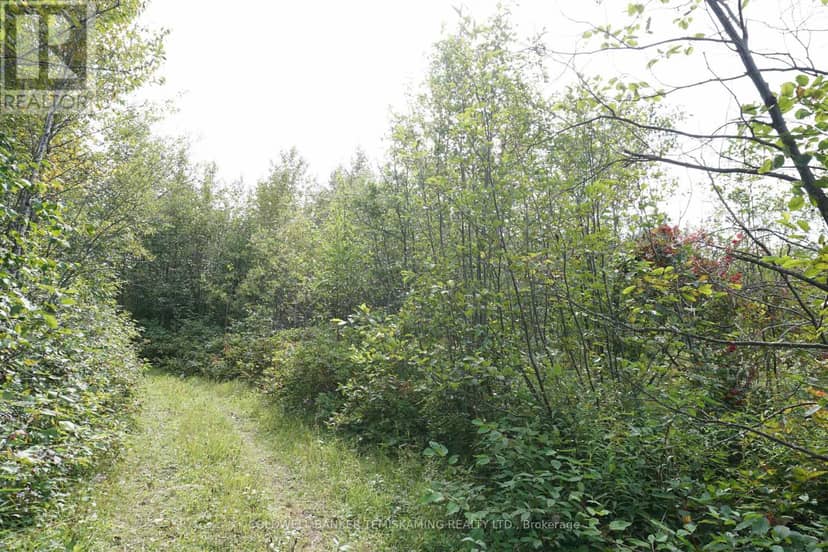 Lot 1 Campbell's Road — photo 29 of 40