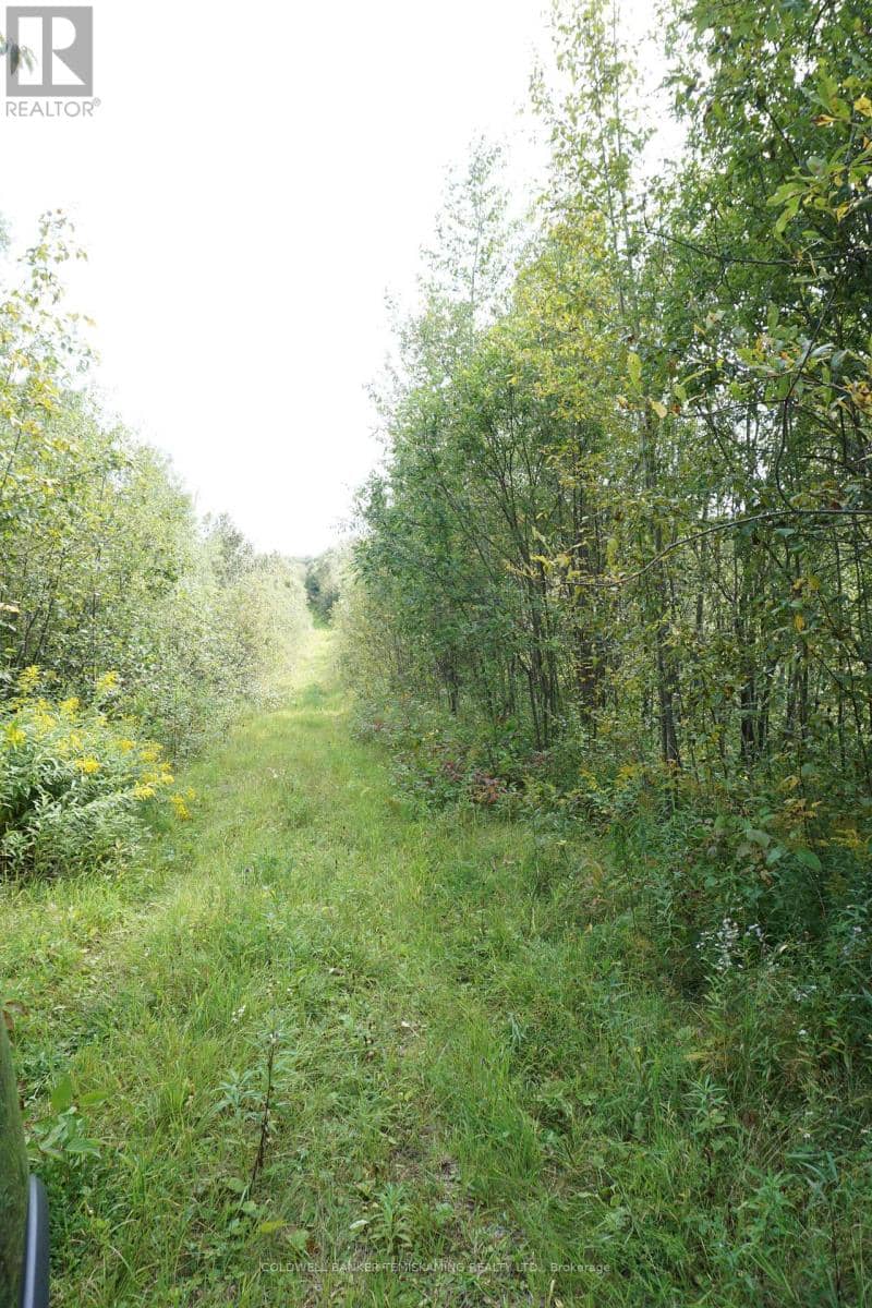 Lot 1 Campbell's Road — photo 31 of 40