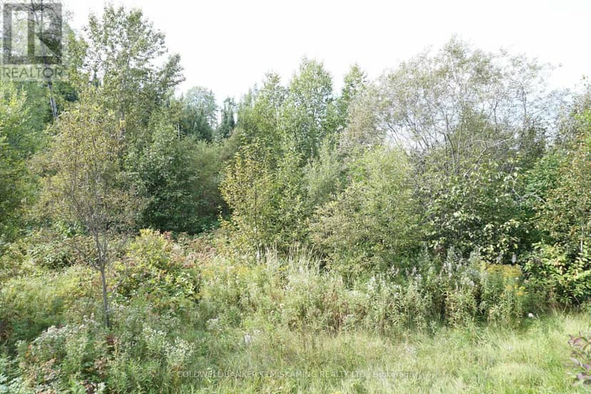 Lot 1 Campbell's Road — photo 32 of 40