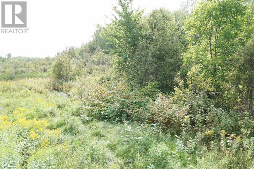 Lot 1 Campbell's Road — photo 33 of 40