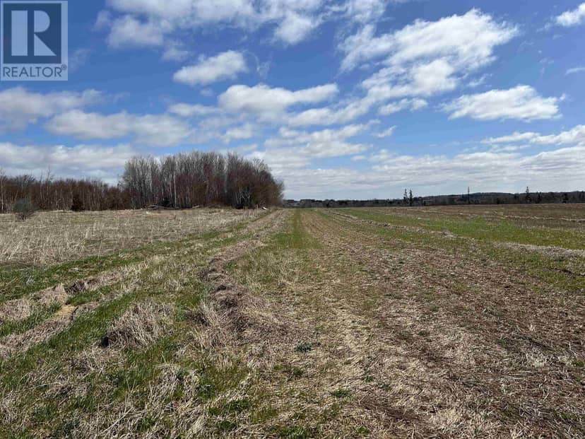 Acreage Norwood Road — photo 4 of 7