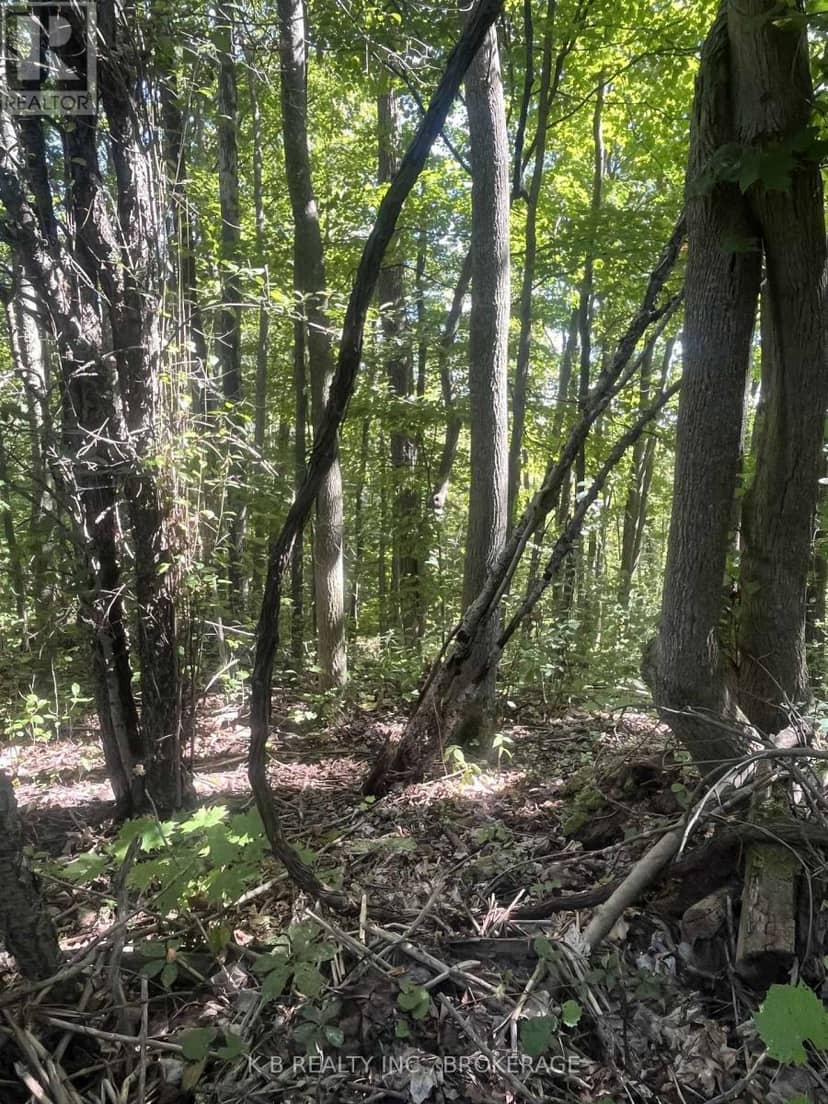 15598 County Road 2 Road — photo 19 of 21
