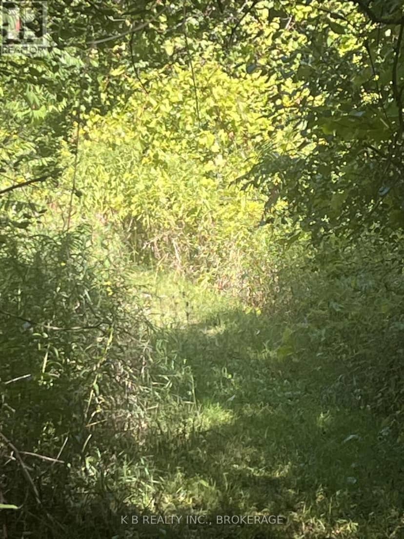 15598 County Road 2 Road — photo 17 of 21